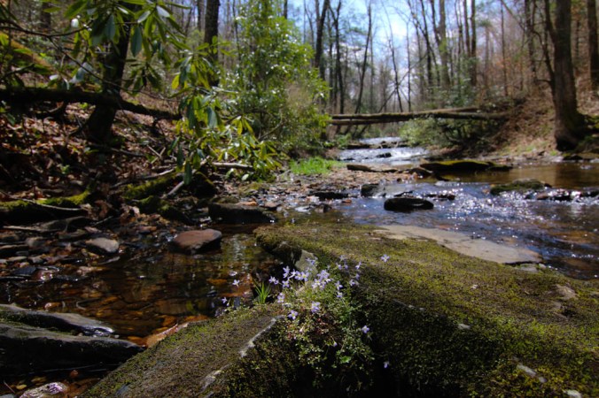 Bullet_Table (11 of 17)